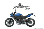 Pulsar 250