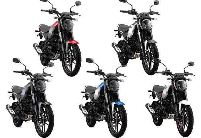 Bajaj Freedom 125 CNG bike color options