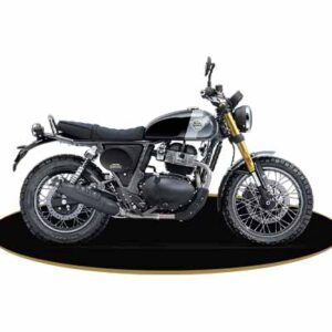 RE Bear 650 Golden Shadow