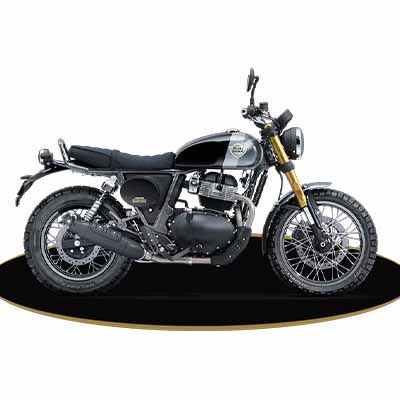 RE Bear 650 Golden Shadow