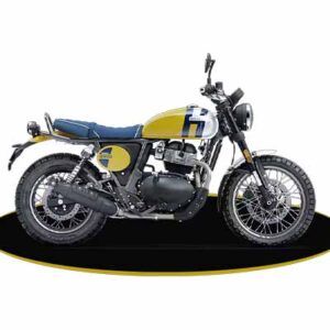 RE Bear 650 Wild honey
